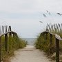 <p align=left> Ah! ces petites allées de sable qui passent de la dune à la mer... Le rêve devient réalité à mesure qu'on avance. 